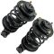 06 (5th vin E) Kia Optima; 07-10 Optima, Magentis Front Strut & Spring Assembly Pair