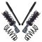 Complete Strut Assembly & Shock Absorber Kit