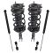 Complete Strut Assembly & Shock Absorber Kit