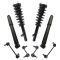 Complete Strut Assembly & Shock Absorber Kit