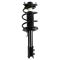 Complete Strut Assembly & Shock Absorber Kit