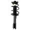 Complete Strut Assembly & Shock Absorber Kit