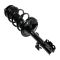 Complete Strut Assembly & Shock Absorber Kit