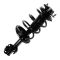 Complete Strut Assembly & Shock Absorber Kit
