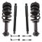 Complete Shock Assembly & Shock Absorber Kit