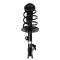 Front Complete Strut & Spring Assembly Pair