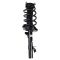 Front Complete Strut & Spring Assembly Pair