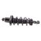 Rear Complete Shock & Spring Assembly Pair