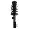 Front Complete Strut & Spring Assembly Pair