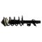 Front Complete Strut & Spring Assemblies Pair