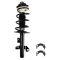 Front Complete Strut & Spring Assemblies Pair