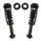 Strut & Spring Assembly Set