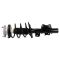 Front Complete Strut & Spring Assembly Pair