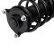 Front Complete Strut & Spring Assembly Pair