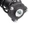 Front Complete Strut & Spring Assembly Pair