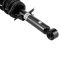 Front Complete Strut & Spring Assembly Pair