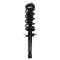 Front Complete Strut & Spring Assembly Pair