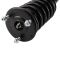 Front Complete Strut & Spring Assembly Pair