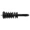 Front Complete Strut & Spring Assembly Pair