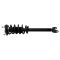 Front Complete Strut & Spring Assembly Pair