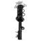 Rear Strut & Spring Assembly Pair