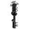 Rear Strut & Spring Assembly Pair