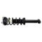 Rear Shock & Spring Assembly Pair