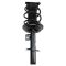 Strut & Spring Assembly Set