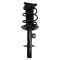 Strut & Spring Assembly Set
