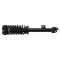 Front Shock & Spring Assembly Pair