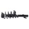 Front Strut & Spring Assembly Rear Shock Kit 4pc
