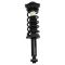 Rear Shock & Spring Assembly Pair