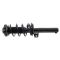 Front Complete Strut & Spring Assembly Pair