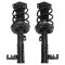 Strut & Spring Assembly Set