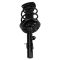 Front Strut Spring Assembly Pair