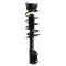 Front Strut Spring Assembly Pair