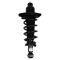 Rear Shock & Spring Assembly Pair