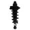 Rear Shock & Spring Assembly Pair