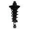 Rear Shock & Spring Assembly Pair