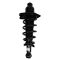 Rear Shock & Spring Assembly Pair