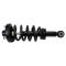 Rear Shock & Spring Assembly Pair