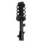 Front Loaded Strut Rear Shock Absorber Kit 4pc
