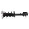 Rear Strut Spring Assembly Pair