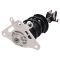 Rear Strut Spring Assembly Pair