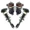 Strut & Spring Assembly Set