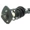 Front Rear Strut Spring Assemblies 4pc Set