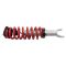 Front Loaded Shock Rear Shock Absorber Set 4pc