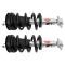 Strut & Spring Assembly Set