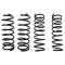 Coil Spring Set