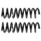 Coil Spring Set